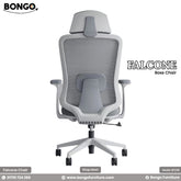 সঠিক আরামদায়ক চেয়ার আপনাকে সুরক্ষিত রাখে!