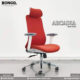 Arcadia Director Chair - BFS122