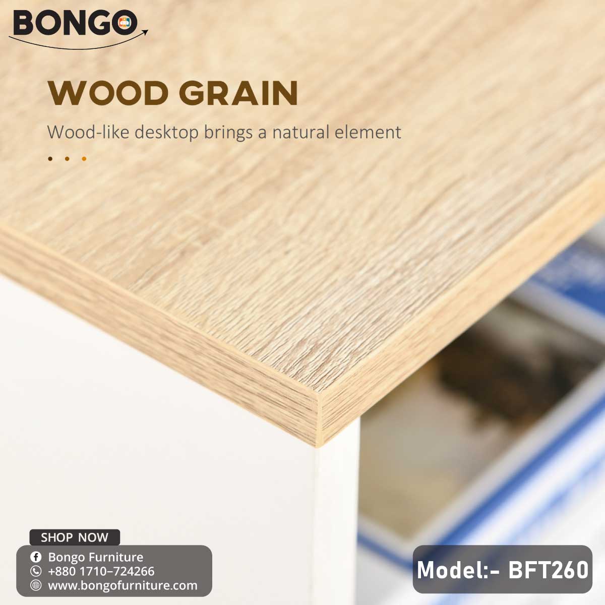 Paragon Study Table & Home office Desk - BFT260.