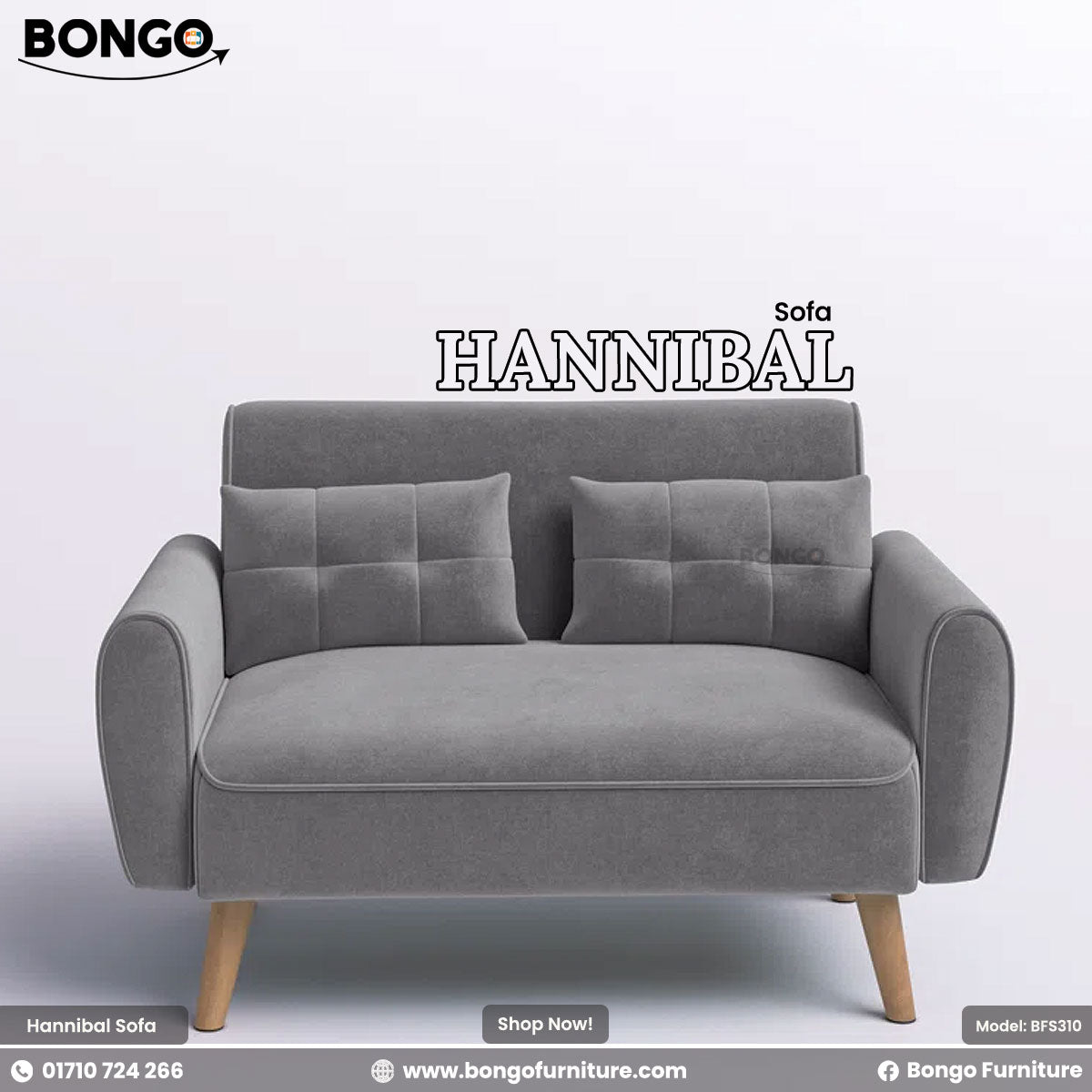 Ash sofa named Hannibal with Bongo Furniture branding on a light gray background