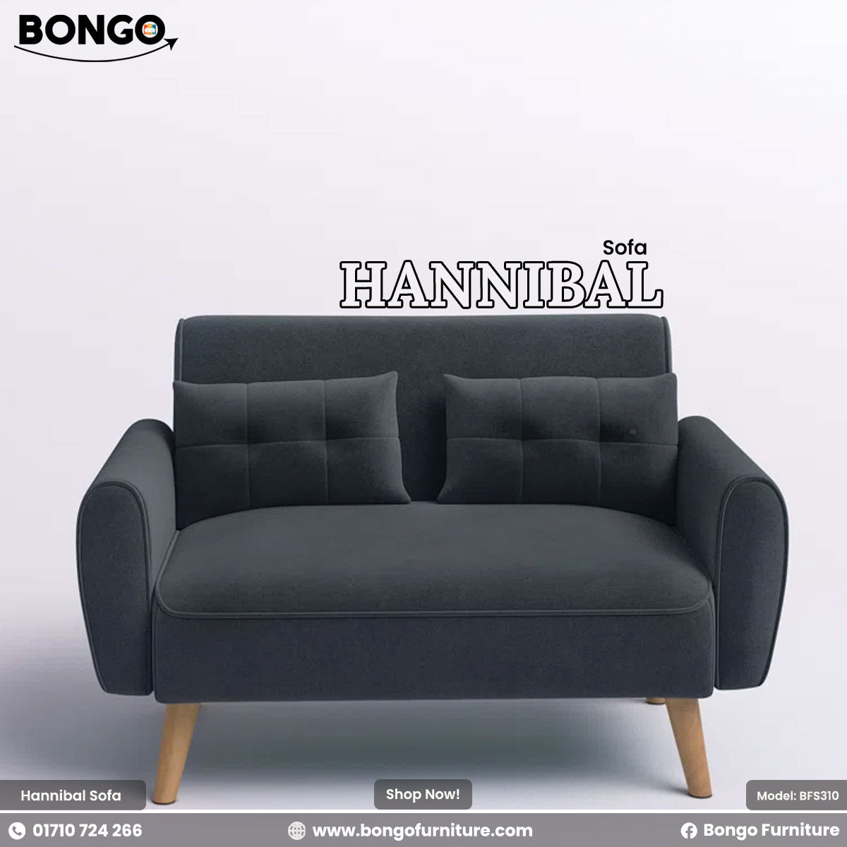 Blackash sofa named Hannibal with Bongo Furniture branding on a light gray background
