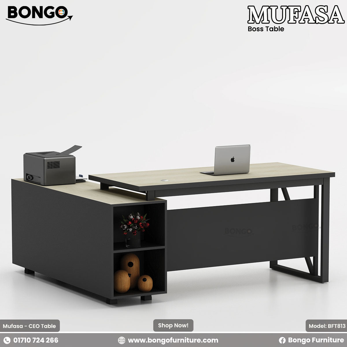Bongo Mufasa office desk with laptop and printer on a white background