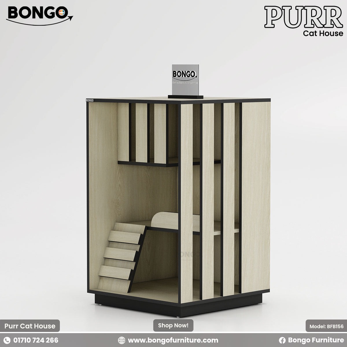 Cat house with Bongo and Purr branding on a Albino Black background