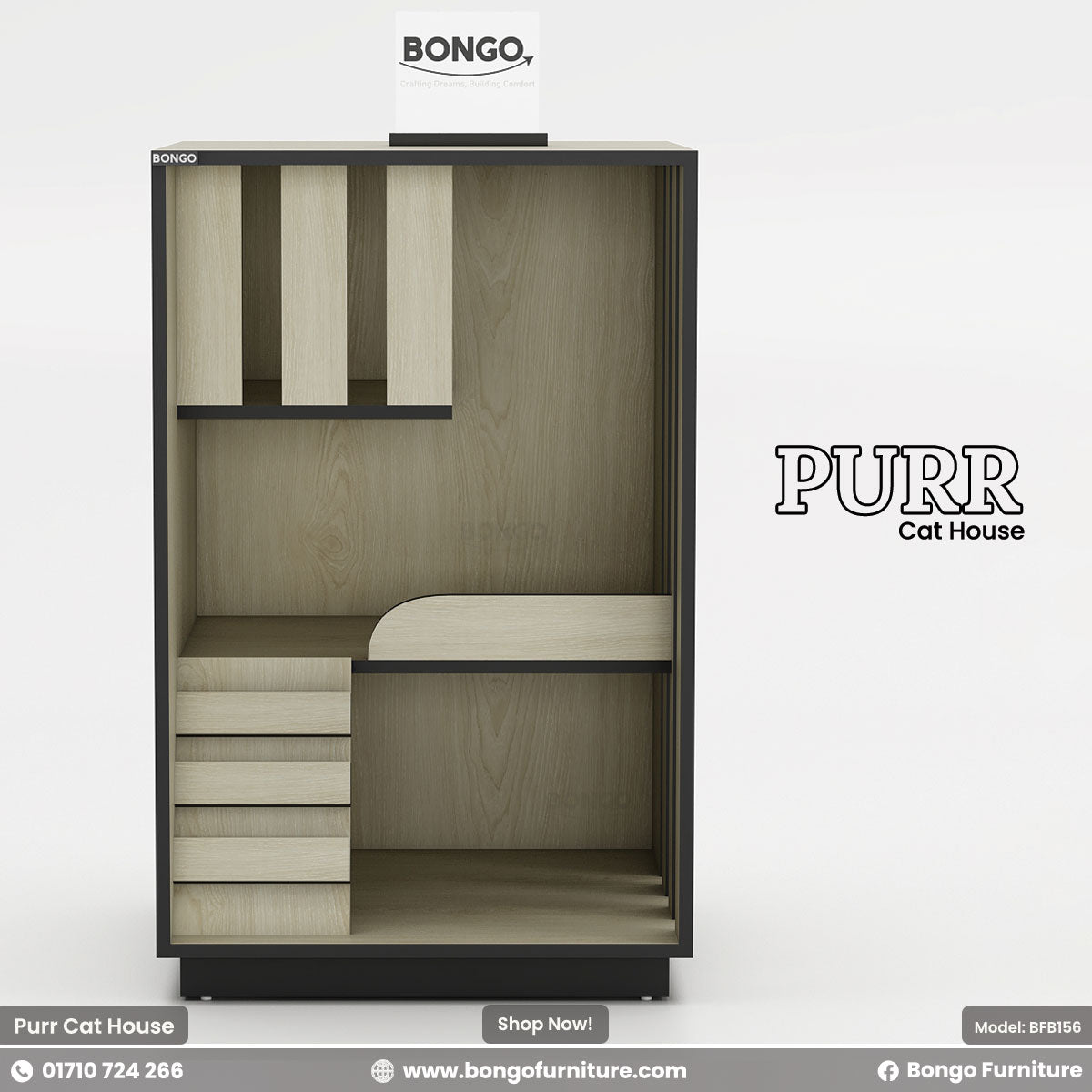 Cat house with Bongo and Purr branding on a Albino Black background