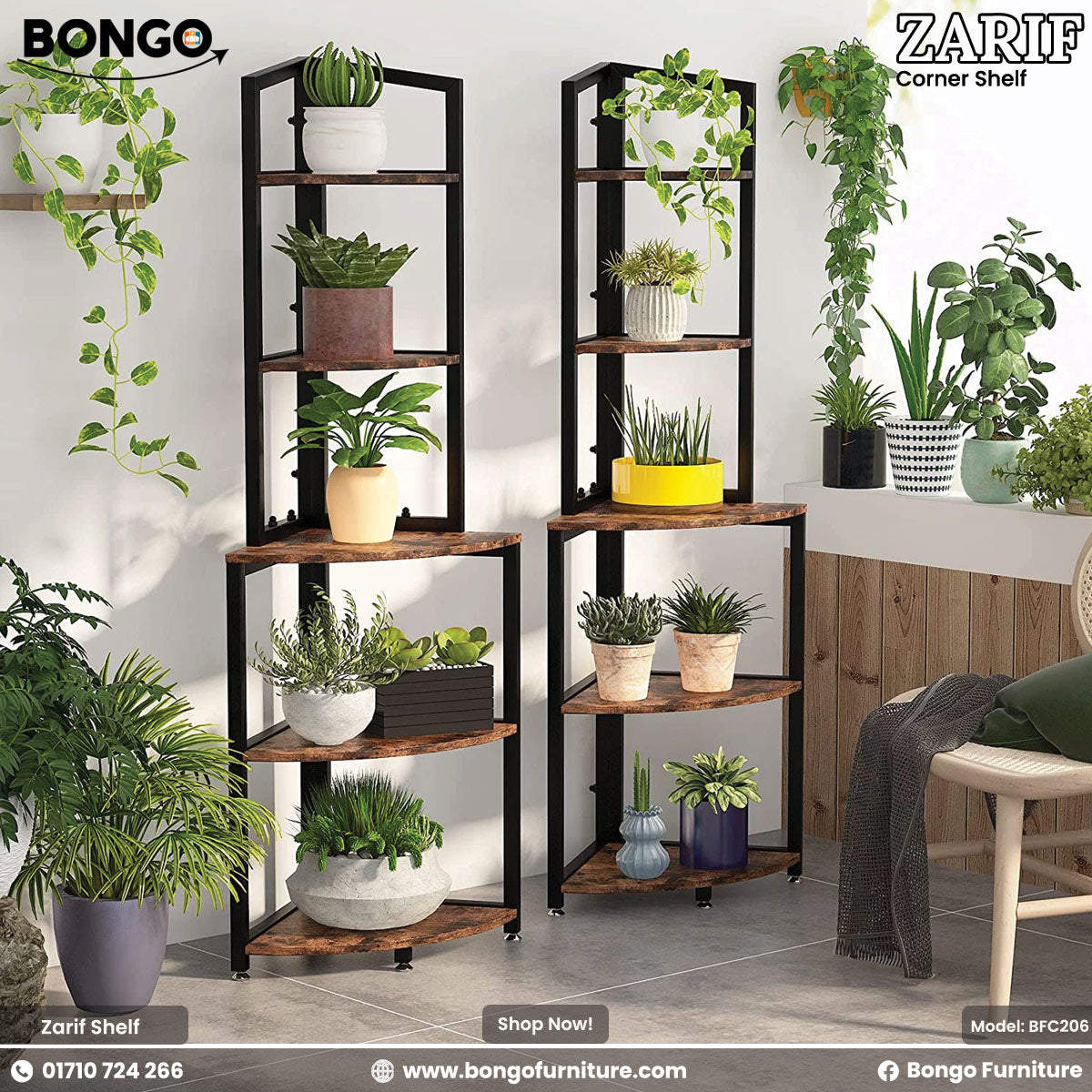 Corner shelves with plants and Bongo Furniture branding