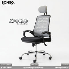 Apollo Chair - BFS056