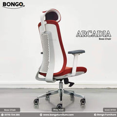 Arcadia Director Chair - BFS122