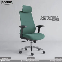 Arcadia Director Chair - BFS122