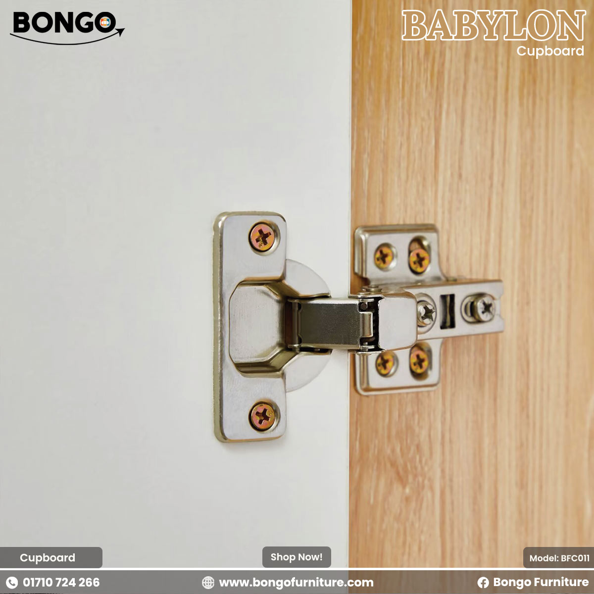 Babylon Cupboard | BFC011
