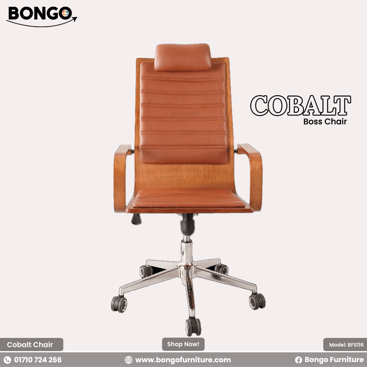 Cobalt Chair | BFS116