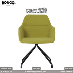 Recline Luxury Chair - BFS008