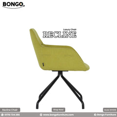 Recline Luxury Chair - BFS008