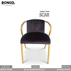 Scar Indoor Chair । BFS161